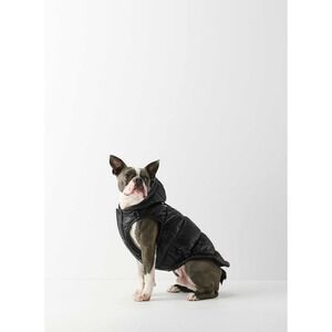 Aritzia Super Ruff Puff Dog Jacket Size Small Black Primaloft NEW